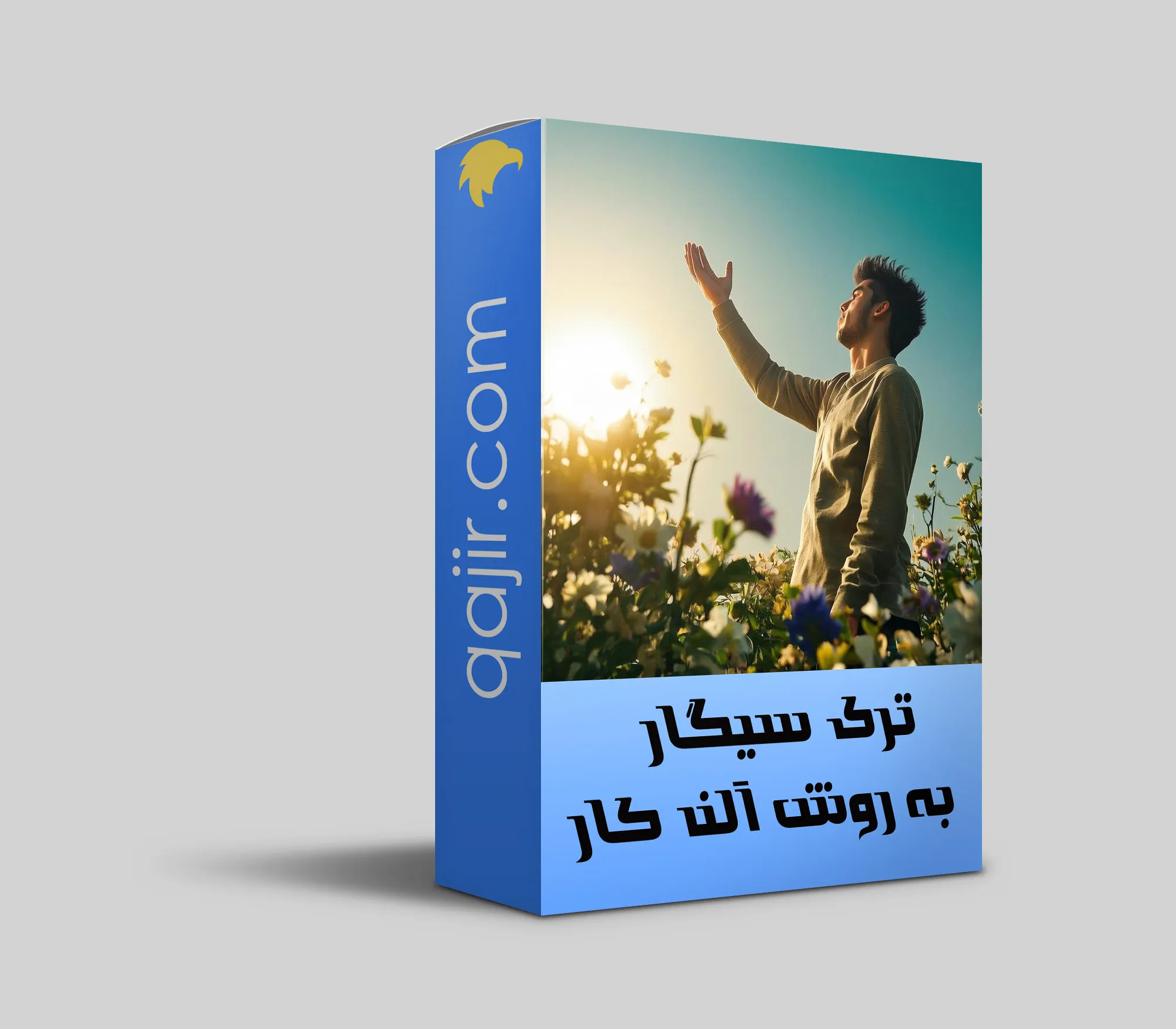 متن جایگزین برای این تصویر: مردی در میان گل‌های رنگارنگ و سبز دست خود را به سمت آفتاب در حال طلوع یا غروب بالا برده است، و در پس‌زمینه آسمان آبی و خورشید دیده می‌شود.