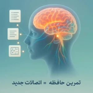 نمایی از مغز انسان با شبکه‌های عصبی در حال فعالیت — نماد ایجاد اتصالات جدید با تمرین حافظه